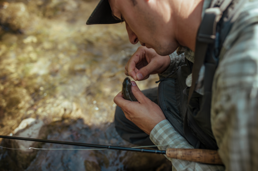 Beginner Fly Rod Setup