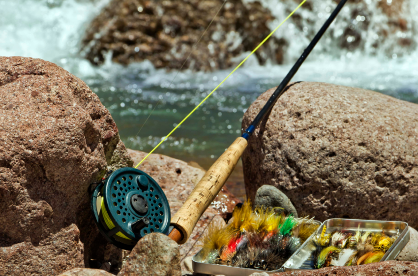 Best Beginner Fly Rod Combo