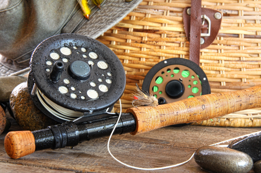 Best Fly Rod for Beginners