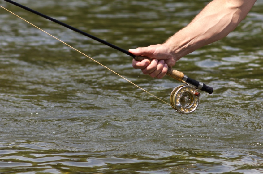 How Long of a Fly Rod Do I Need