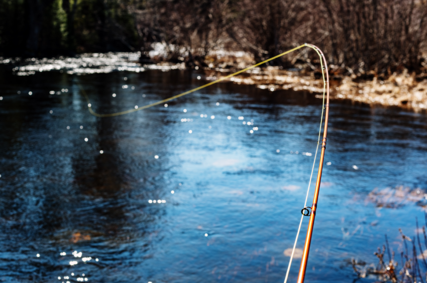 Does Fly Fishing Line Go Bad