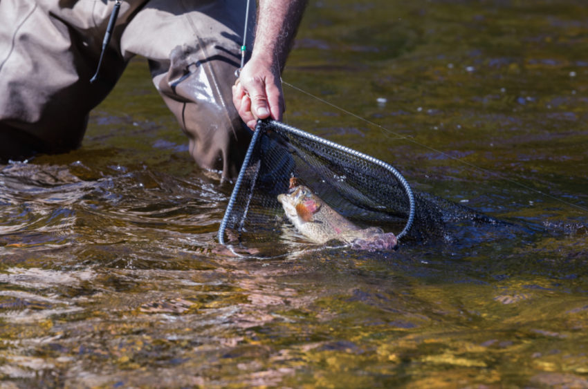 how to carry fly fishing net